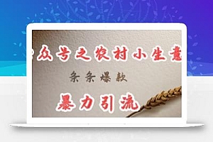 deepseek写农村小项目,条条爆款,暴力引流