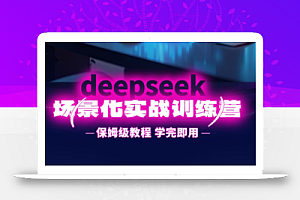 一舟老师·deepseek场景化实战训练营