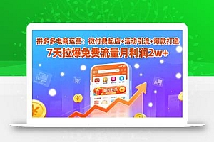 拼多多电商运营:微付费起店+活动引流+爆款打造 7天拉爆免费流量月利润2w+
