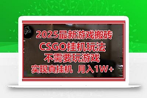 2025最新游戏搬砖,CSGO挂机,不需要玩游戏,实现真挂机,月入1W+