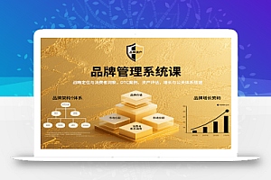 品牌管理系统课:战略定位与消费者洞察,DTC案例、资产评估,增长与公关体系搭建