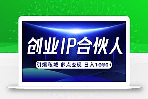 云帆·创业ip合伙人打造3.0,从0到1教你做网创,实现月入过W