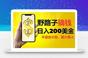 挂机野路子搞钱,日入200美金,路子很野,小白莫入