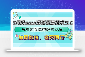 9月份soul最新引流技术5.0,日稳定引流300+创业粉,加爆微信,卷死同行