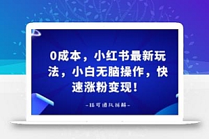 0成本,小红书最新玩法,小白无脑操作,快速涨粉变现