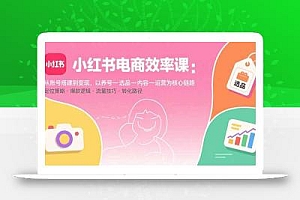 小红书电商效率课:从账号搭建到变现,以养号-选品-内容-运营为核心链路