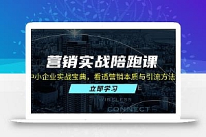 营销实战陪跑课:中小企业实战宝典,看透营销本质与引流方法论