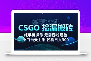 8月最新游戏搬砖,CSGO纯挂机,不需要玩游戏,实现真挂机,月入1W+