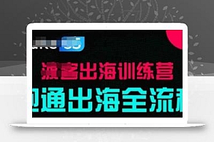 出海训练营基础课,跑通出海全流程,实战案例拆解