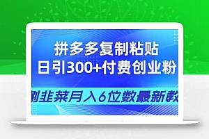 拼多多复制粘贴日引300+付费创业粉,割韭菜月入6位数最新教程!