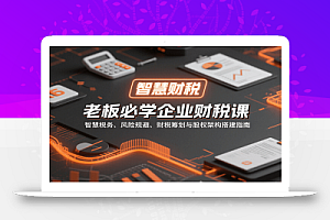 老板必学企业财税课:智慧税务、风险规避、财税筹划与股权架构搭建指南