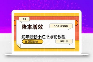 蛇年最新小红书爆粉教程,狂引副业粉,月入万+必看