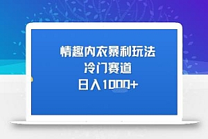 情趣内衣暴利玩法,冷门赛道,日入1k+