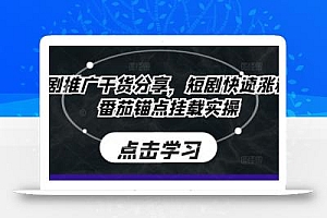 短剧推广干货分享,短剧快速涨粉及番茄锚点挂载实操
