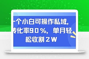 一个小白可操作私域,转化率90%,单月轻松收割2W