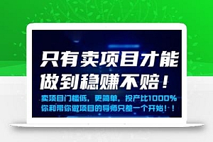 只有卖项目才能做到稳挣不赔,门槛低,更简单,你也可以年入百个W【揭秘】