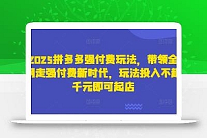 2025拼多多强付费玩法,带领全网走强付费新时代,玩法投入不超千元即可起店