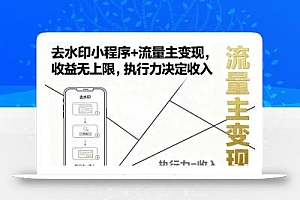 去水印小程序+流量主变现,收益无上限,执行力决定收入