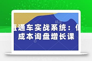 直通车实战系统:低成本询盘增长课,让个人通过技能实现升职加薪,让企业低成本获客,订单源源不断