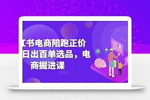 小红书电商陪跑正价课,小红书官方认证电商讲师教学,日出百单选品,电商掘进课