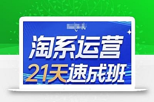 淘系运营21天速成班(更新25年10月),0基础轻松搞定淘系运营,不做假把式