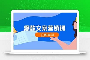 爆款文案营销课:公域转私域,涨粉成交一网打尽,各行业人士必备