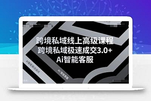 跨境私域线上高级课程,跨境私域极速成交3.0+Ai智能客服