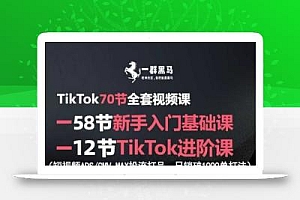 TikTok全套视频课,新手入门+进阶课,短视频ADS-GMV MAX投流打品,日销破1000单打法
