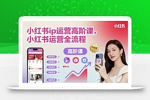 小红书ip运营高阶课,小红书运营全流程