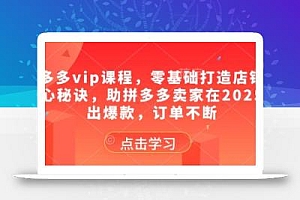 拼多多vip课程,零基础打造店铺的核心秘诀,助拼多多卖家在2025卖出爆款,订单不断