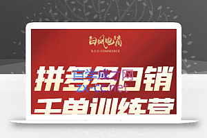 白凤电商·拼多多日销千单训练营(更新6月)