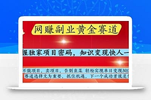 网创副业黄全赛道,掌握独家项目密码,知识变现快人一步,告别韭菜轻松实现单日变现1k+【揭秘】