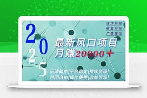 2025广告赛道新风口-月赚2W+玩法简单,时间自由