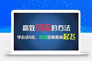 高效引流的方法,可以帮助你日引300+创业粉,一年轻松收入30万,比打工强太多!