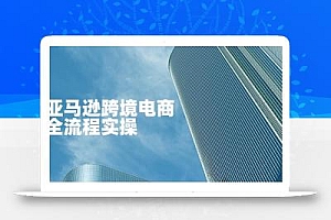 亚马逊跨境电商全流程实操,教你从零开始,掌握店铺运营与广告技巧