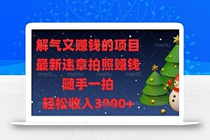 解气又挣钱的项目,最新违章拍照挣钱,随手一拍,轻松收入多张【揭秘】