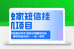 2025全新电脑挂机项目  操作简单,单机当天收益1000+,收益无上限,可…