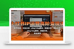 小红书IP运营高阶变现课:账号包装,对标分析,plog/vlog脚本,数据分析,商业接单