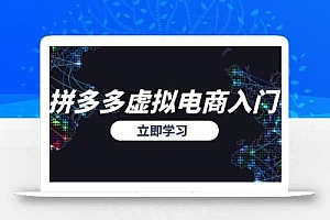 拼多多虚拟电商入门,精准选品方法论,无货源模式起盘技巧