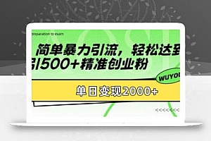 简单暴力引流,轻松达到日引500+精准创业粉,单日变现2k【揭秘】