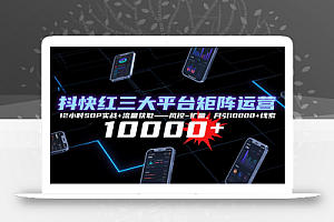 抖快红三大平台矩阵运营,12小时SOP实战+流量获取-风控-扩量,月引10000+线索
