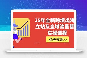 25年全新跨境出海独立站及全域流量营销实操课程,跨境电商独立站TIKTOK全域营销普货特货玩法大全