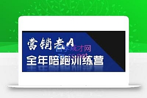 老A营销训练营(更24年5月)
