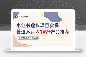 小红书虚拟项目实操指南,普通人月入1W+产品推荐,直接抄