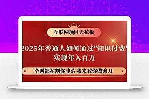 网创项目终点站-镰刀训练营超级IP合伙人,25年普通人如何通过“知识付费”年入百万