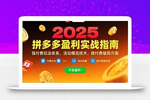 拼多多盈利实战指南,强付费玩法,活动爆流技术,微付费破局方案(更新7月