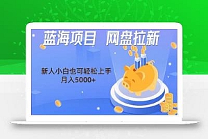 蓝海项目网盘拉新,新人小白也可操作,每月收入5000+