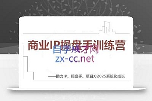 【2025】IP流量操盘手线上训练营(更新4月)