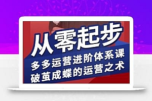 拼多多运营进阶系统课,从零起步,多多运营进阶体系课,破茧成蝶的运营之术