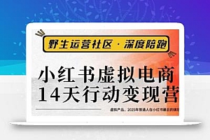 小红书虚拟电商14天变现训练营3.0,虚拟产品,2025年普通人在小红书最后的搞钱机会